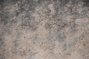 Muro monocapa
