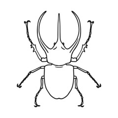 Isolated contour drawing of a beetle on a white background. Doodle style. A design element.