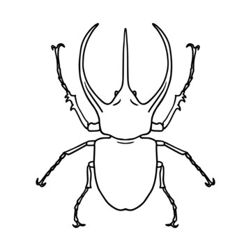 Isolated contour drawing of a beetle on a white background. Doodle style. A design element.