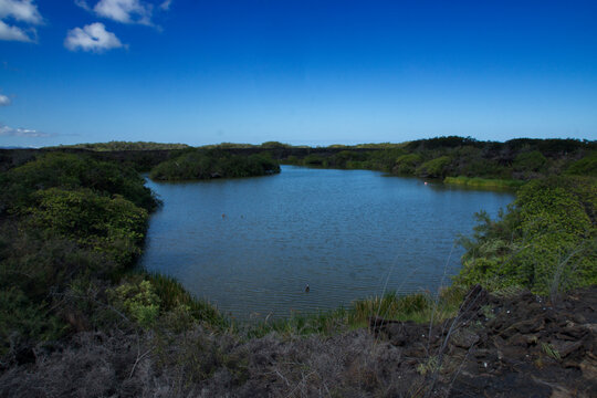 The magical lake of Punta Moreno in Isabela Island, Galapagos.