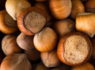 hazelnut, hazelnut closeup in shell, background, macro