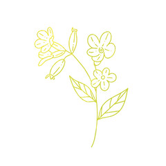 Single element gold flower in doodle style. Hand drawn vector illustration.