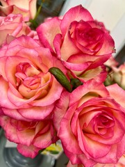 bouquet of roses with drops