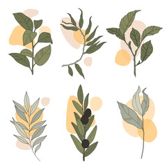 Tree branches in stroke style with colours