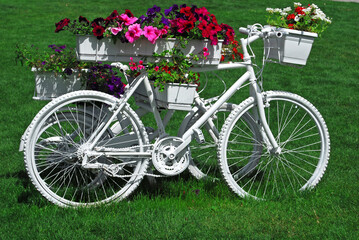 Fototapeta na wymiar garden decoration with bicycle bike painted with flowers