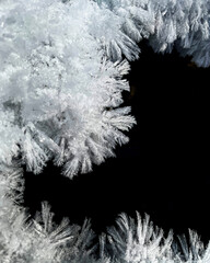 Snow crystals 