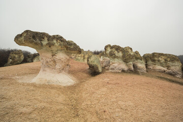 The Stone Mushrooms near Beli plast village in Bulgaria. They are about 2.5 metres tall.