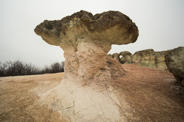 The Stone Mushrooms near Beli plast village in Bulgaria. They are about 2.5 metres tall.
