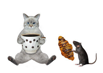 An ashen cat drinks coffee near a rat with a chocolate croissant. White background. Isolated.