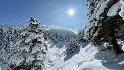 relaxing winter landscapes in the mountains.Fertile winter days in Central Taurus.