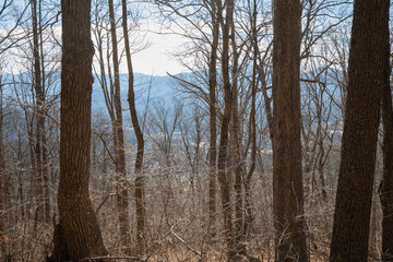 Fototapeta premium landscape