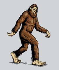Sasquatch, Yeti, Bigfoot walking vector illustration in color - 485919408