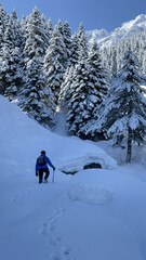 Fototapeta na wymiar winter walk in magnificent forest in mountains