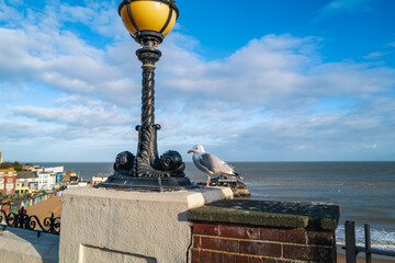 A seagull perched high above Viking Bay in Broadstairs, Kent, UK next to an ornate street lamp with...