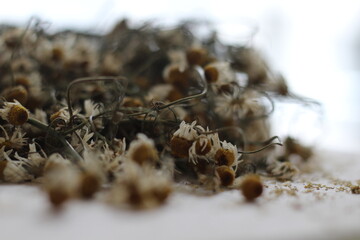 Camomila desidratada