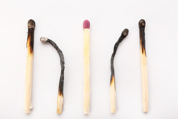 Unburnt match among burnt ones on white background. Concept of uniquness