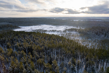 aerial view forest tundra taiga road in the forest in winter on a sunny frosty day in siberia. High quality photo