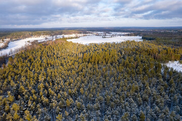 aerial view forest tundra taiga forest in winter on a sunny frosty day in siberia pines fir trees....