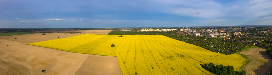 Pola rzepaku, panoramiczny widok z lotu ptaka na północno-wschodnią część miasta Gorzów...