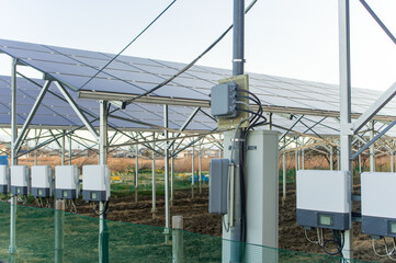 Obraz premium ソーラーパネル