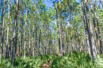 Obraz premium creative