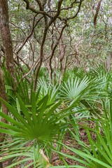 Fototapeta premium CREATIVE