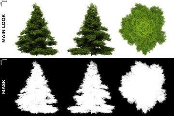 3D Rendering of  Front, Left and Top views of Tree (Sabina Chinensis) with alpha mask to cutout and PNG editing. Forest and Nature Compositing.