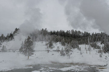 Winter scenery from Yellowstone National Park.