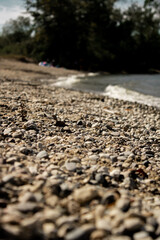 Beach Rocks