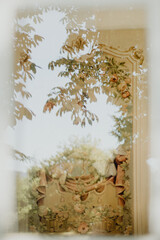Reflet d'un arbre dans la fenêtre de la maison