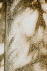 L'ombre de la nature port&eacute;e sur le mur