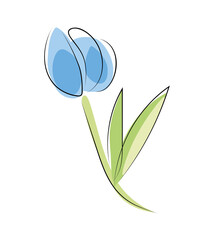 Niebieski tulipan - obrazy, fototapety, plakaty