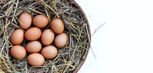 Fresh organic eggs in a straw nest