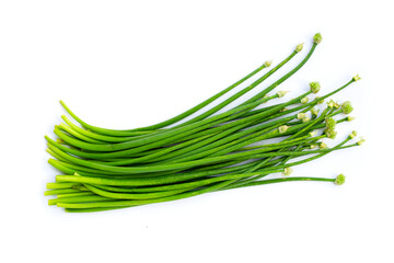 Chives flower or Chinese Chive on white