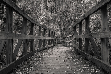 Boardwalk in black and white 