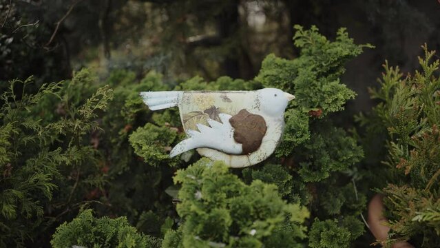 Bird decoration in the garden, surrounded by greenery