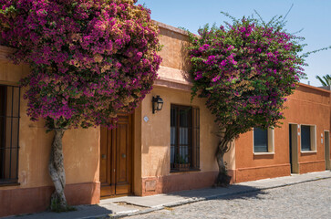 Colonia del Sacramento in Uruguay, an important tourist spot.