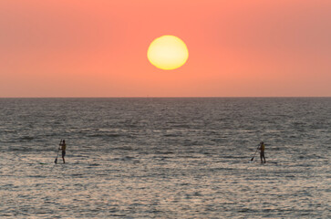 Beautiful sunset on Uruguayan beach with plants in the foreground