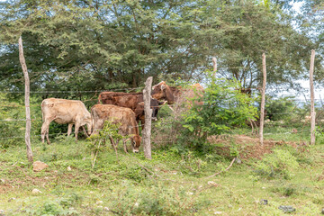 Obraz premium creative