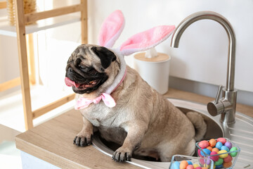 Funny pug dog with bunny ears in kitchen on Easter eve