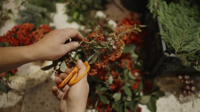 Close up shot of gardeners hands,cutting a branch for decoration of a holiday wreath, just in time for Christmas