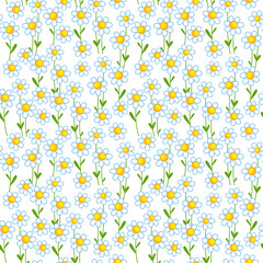 Obraz na płótnie Canvas The flowers are white. Seamless pattern with cute daisies on a white background. Vector illustration with childish print for clothes, postcards, textiles. Spring wild flowers with outline.