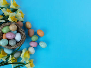 Colorful Easter eggs, daffodil flowers and nest on sky blue background