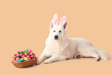 Fototapeta na wymiar Cute dog with bunny ears and Easter basket on color background