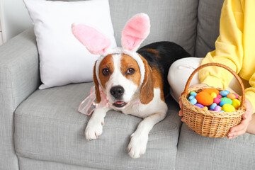Young woman and cute Beagle dog celebrating Easter at home
