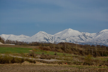 春の丘と雪山　十勝岳連峰
