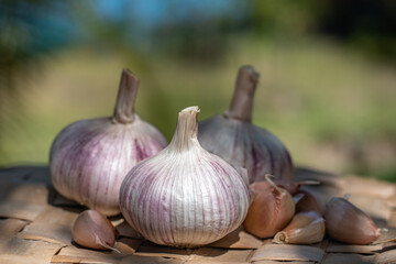 garlic bulb