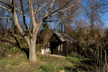 Fototapeta na wymiar A small wooden hut in the forest and a walnut tree in front of the cottage on a cold sunny winter day
