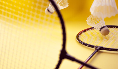 feathers and badminton rackets on a yellow background
