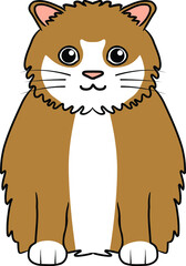 Sitting brown and white ragamuffin or ragdoll cat vector